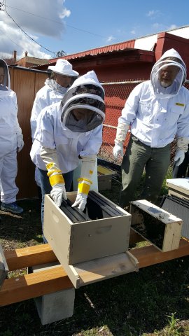 Hands On Class - Installing Bees 1 (3)